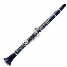 Clarinet experience of a lifetime! Book now!